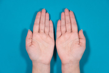 Closeup top view photography of two beautiful female hands holding both empty palms up isolated on blue background.