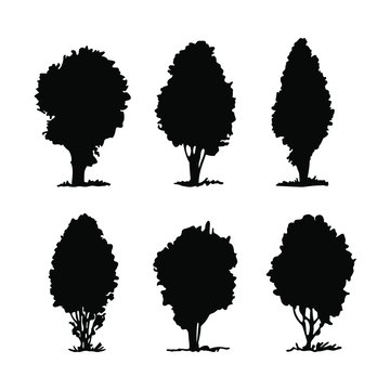 Set of hand drawn trees and high shrubs, vector silhouettes. Landscape elements.