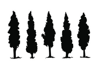 Set of hand drawn silhouettes. Thuja tree, architectural elements.