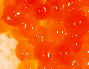 Red caviar from salmon fish.