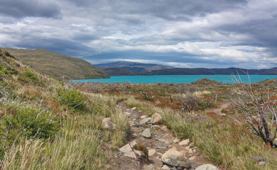 rocky road in a meadow leading to a lake in the Torres del Paine Park in Chile