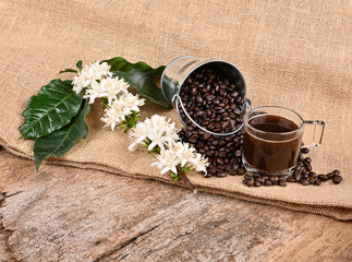 Coffee  and coffee flowers on wooden background