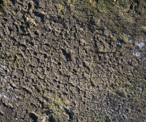 texture of gray cement with cracks and scuffs, full frame