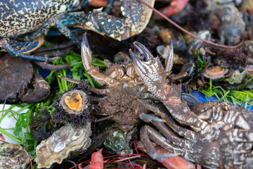 Fischmarkt in Essaouira, Marokko