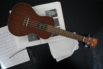 Fototapeta na wymiar Musical note and ukulele on a black background