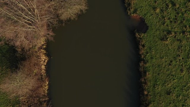 Aerial - Following a large dark river with leafless pollard willows in winter going from birds eye view to a normal perspective