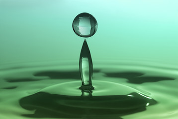 Fototapeta na wymiar Green drop fall on water surface