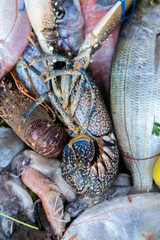 Fischmarkt in Essaouira, Marokko