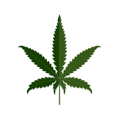 Cannabis leaves, icon. Vector illustration on a white background.