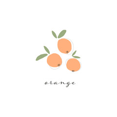 pretty orange citrus fruits doodle hand drawn simple cute vector illustration