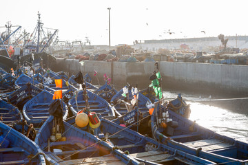 Der Hafen von Essaouira, Marokko