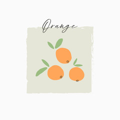 pretty orange citrus fruits doodle hand drawn simple cute vector illustration