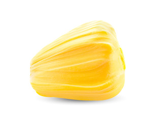 Jackfruit fruit isolated on a white background