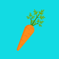Carrot icon flat style