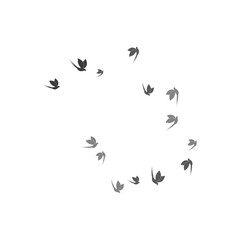 Obraz na płótnie Canvas Bird Logo Template vector illustration