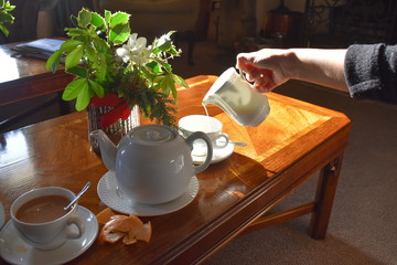 Pouring milk into a cup hot tea on wooden table background, Traditional english tea