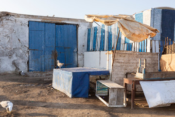 Am Hafen von Essaouira, Marokko