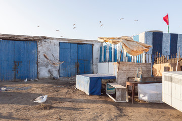 Am Hafen von Essaouira, Marokko