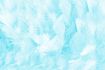Beautiful green turquoise color trends feather pattern texture background,pastel