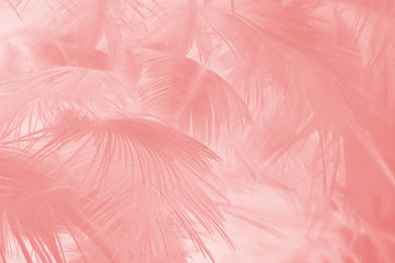 Beautiful soft pink feather pattern texture background