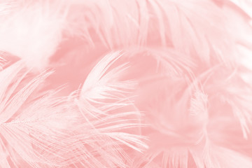 Beautiful soft pink feather pattern texture background