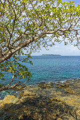 Fototapeta na wymiar Contadora Island in Panama bay.