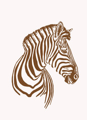 Fototapeta na wymiar Graphical vintage sketch of zebra portrait, vector sepia illustration