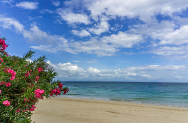 Playa Larga (Long Beach) or Wreck beach on Contadora island, Panama bay.