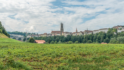 Fototapeta na wymiar Fribourg depuis les Neigles.