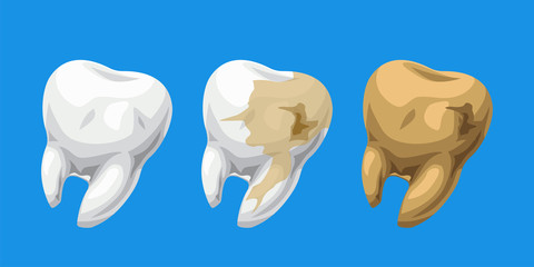 cartoon teeth healthy and caries