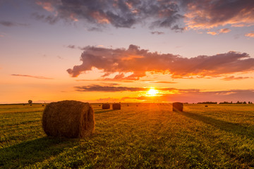 A field with haystacks on a summer or early autumn evening with a cloudy sky in the background. Procurement of animal feed in agriculture. Landscape. Sunset. © Eugene_Photo