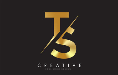 TS T S Golden Letter Logo Design with a Creative Cut.