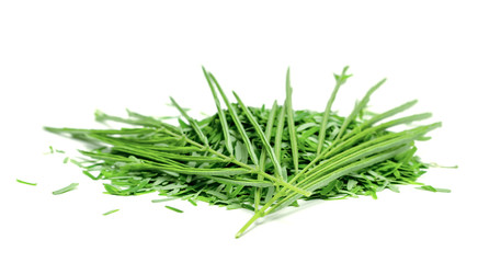 Acacia pennata or Cha Om leaf isolated on white background ,Green leaves pattern