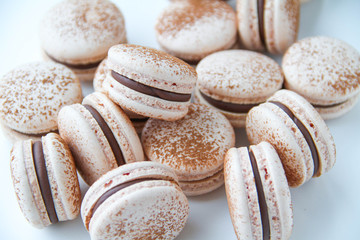 French dessert macaron powered with cocoa powder and filled with dark chocolate ganache. On a white background. Back view.