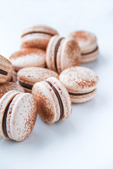 French dessert macaron powered with cocoa powder and filled with dark chocolate ganache. On a white background. Back view.