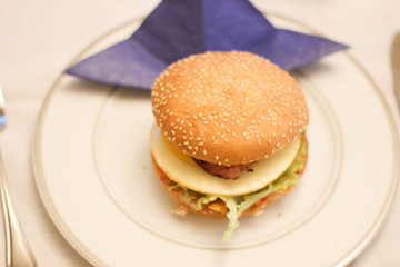 Fresh tasty burger. Burgers made from anything other than beef. It is there really such a thing as a good burger. Stock photo