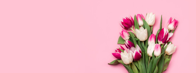 Banner with bouquet of tulips in pink and white colors. Concept of spring, Women's Day, Mother's Day, 8 March, the holiday greetings. Copy space, flat lay.