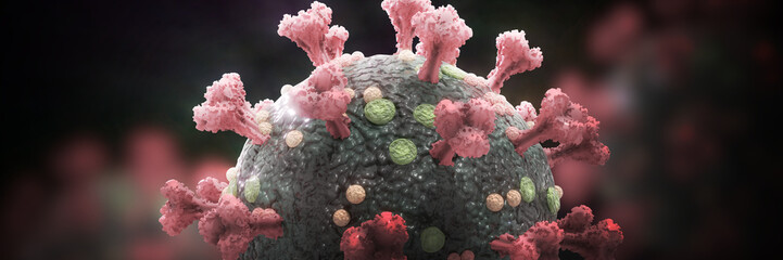 coronavirus (Covid-19, Sars-CoV-2) Microscopic view of the dangerous virus. Medical 3d render, banner format. - obrazy, fototapety, plakaty