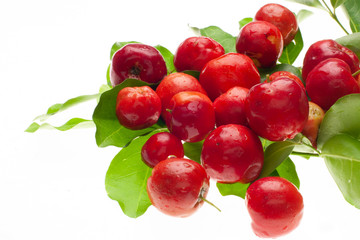 cacho de acerola fresca