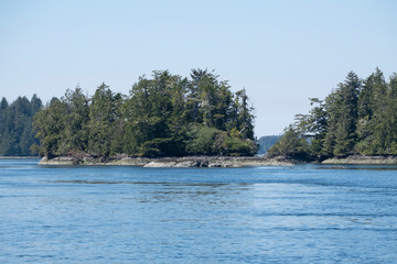 The islands near Tofino, British Columbia at low tide, on a sunny day with blue skies