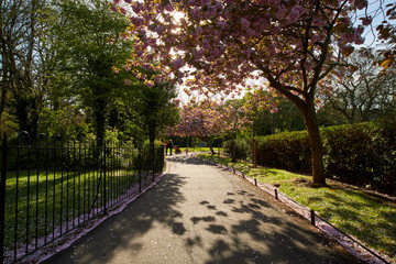 St Stephen's Green park, in Dublin, Ireland