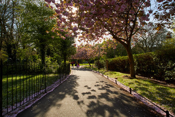 Obraz premium St Stephen's Green park, in Dublin, Ireland