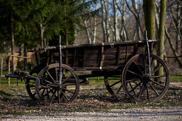 Fototapeta na wymiar old cart on wooden wheels