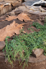 Einblicke ins Gerberviertel in Marrakesch, Marokko