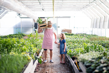 Small girl with senior grandfather gardening in the greenhouse.