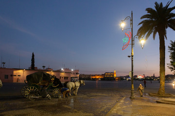 Morgens am Djemaa el Fna, Marrakesch, Marokko