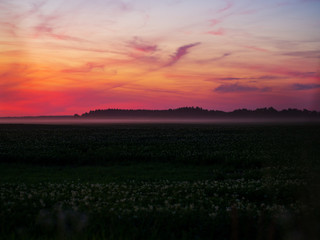 Fototapety na wymiar - Fototapeta24.pl