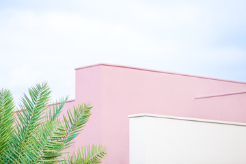 Part of the wall of a pink building, and a tropical palm plant.