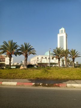 Big mosque view in Oran ,Algeria with palm trees 