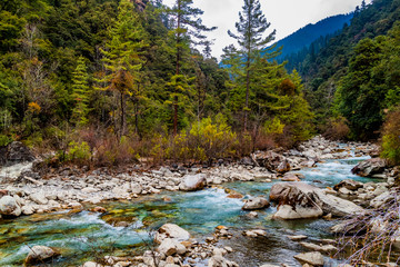 Thimphu Chhu mountain river. Bhutanese mountain forest and blooming rhododendrons on the banks. Cold swift rough river flows from the Himalayan mountains. Himalaya river landscape.